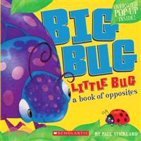 Big bug, little bug :a book of opposites /