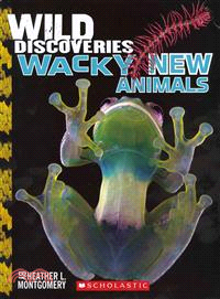 Wild Discoveries ─ Wacky New Animals