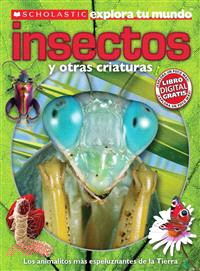 Insectos / Bugs