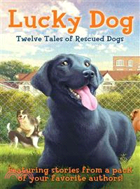 Lucky dog :twelve tales of r...