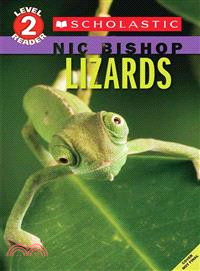 Lizard ─ Level 2