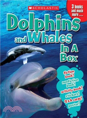 Dolphins & Whales in a Box