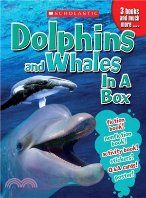Dolphins & Whales in a Box