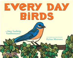 Every day birds /