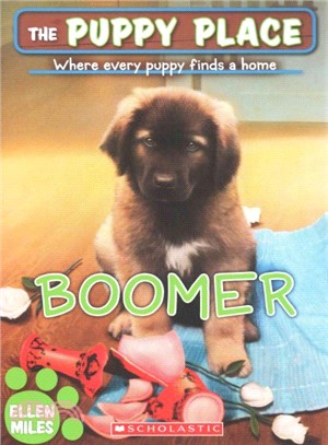 Boomer /