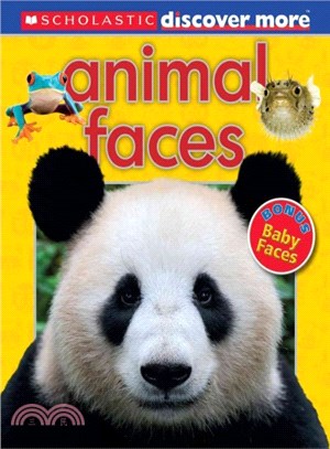 Animal Faces