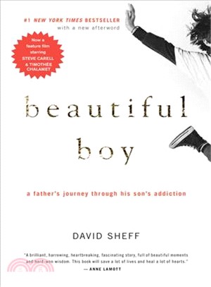 Beautiful Boy ─ A Father's Journey Through His Son's Addiction