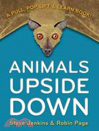 Animals Upside Down ─ A Pull, Pop, Lift & Learn Book!