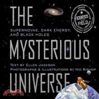 The Mysterious Universe ─ Supernovae, Dark Energy, and Black Holes