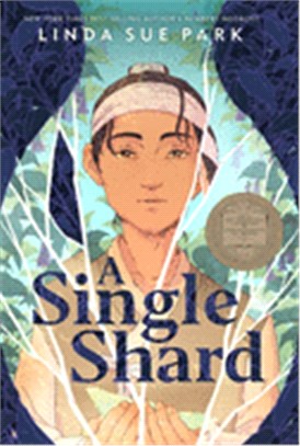 A single shard /