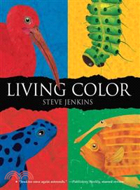 Living Color /