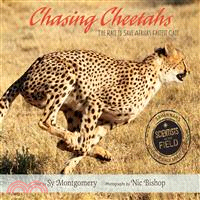 Chasing cheetahs :the race to save Africa's fastest cats /