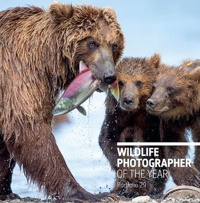 Wildlife Photographer of the Year ― Portfolio 29