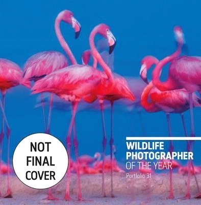 Wildlife Photographer of the Year: Portfolio 31, 31