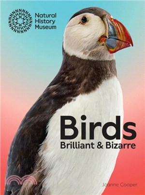 Birds：Brilliant & Bizarre