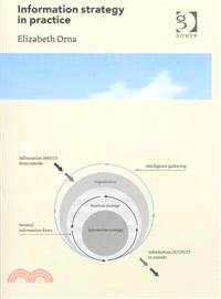 Information Strategy in Practice