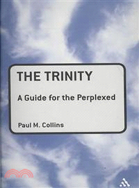 The Trinity: A Guide for the Perplexed