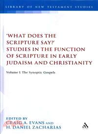 'what Does the Scripture Say?' Studies in the Function of Scripture in Early Judaism and Christianity—The Synoptic Gospels