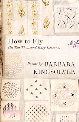 How to Fly：(In Ten Thousand Easy Lessons)