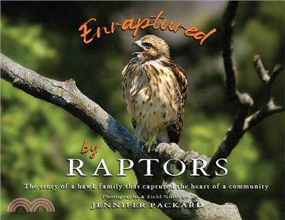 Enraptured by Raptors: The story of a hawk family that captured the heart of a community
