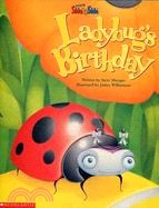 Ladybug\
