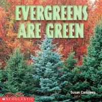 Evergreens Are Green