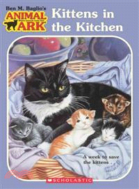Kittens in the kitchen /