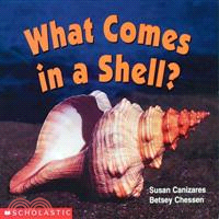 What Comes in a Shell?