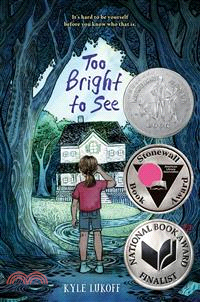 Too Bright to See (A National Book Award Finalist)