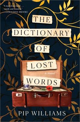 The dictionary of lost words...