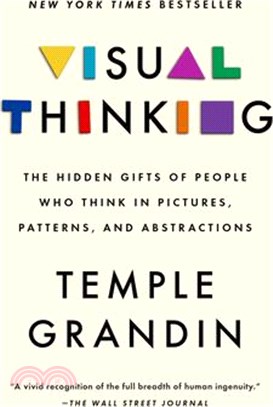 Visual Thinking: The Hidden Gifts of People Who Think in Pictures, Patterns, and Abstractions