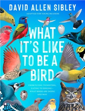 What It's Like to Be a Bird (Adapted for Young Readers): From Flying to Nesting, Eating to Singing--What Birds Are Doing, and Why