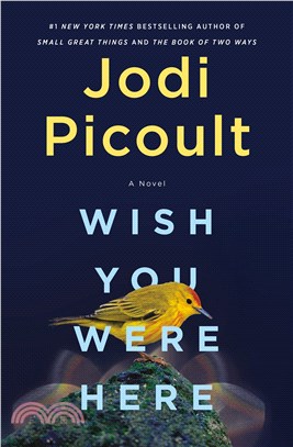 Wish you were here :a novel ...