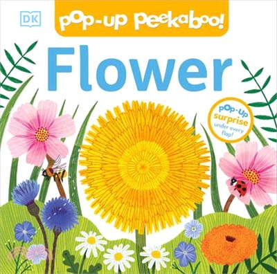 DK Pop-Up Peekaboo! Flower