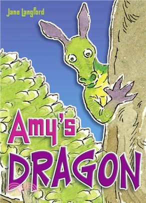 POCKET TALES YEAR 2 AMY'S DRAGON