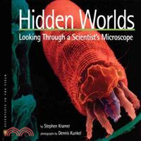 Hidden worlds : looking through a scientist