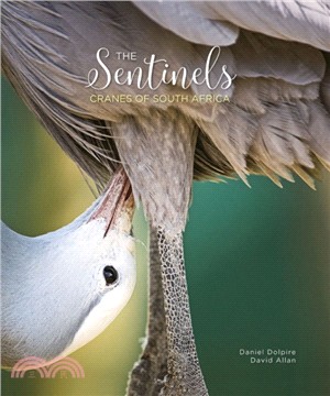 The Sentinels：Cranes of South Africa