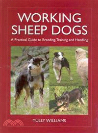 Working Sheep Dogs