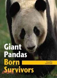 Giant Pandas ─ Born Survivors