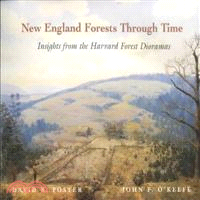 New England Forests Through Time ─ Insights from the Harvard Forest Dioramas