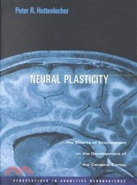 Neural Plasticity