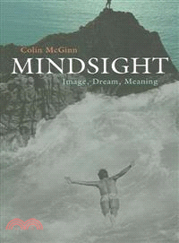 Mindsight ― Image, Dream, Meaning