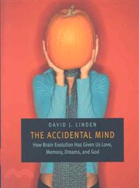 The Accidental Mind