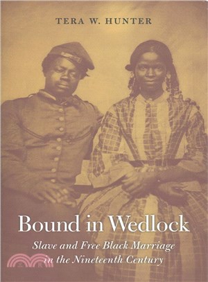 Bound in Wedlock ─ Slave and Free Black Marriage in the Nineteenth Century