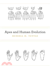 Apes and Human Evolution