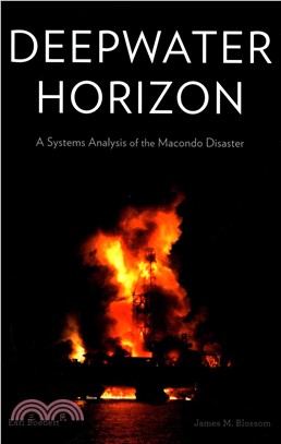 Deepwater Horizon ─ A Systems Analysis of the Macondo Disaster