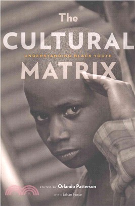 The Cultural Matrix ─ Understanding Black Youth