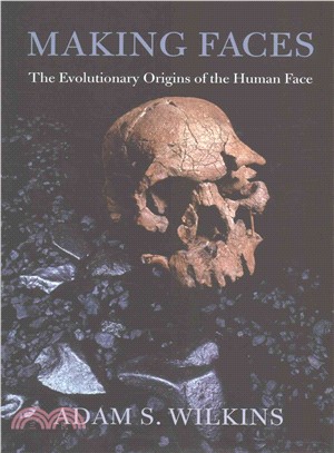 Making Faces ─ The Evolutionary Origins of the Human Face