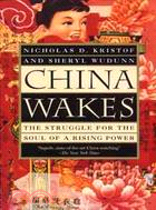 China Wakes ─ The Struggle for the Soul of a Rising Power