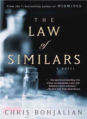 The Law of Similars ─ A Novel